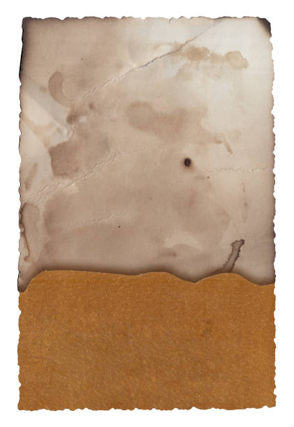 istock Old vintage paper background with natural leather texture 1313859490
