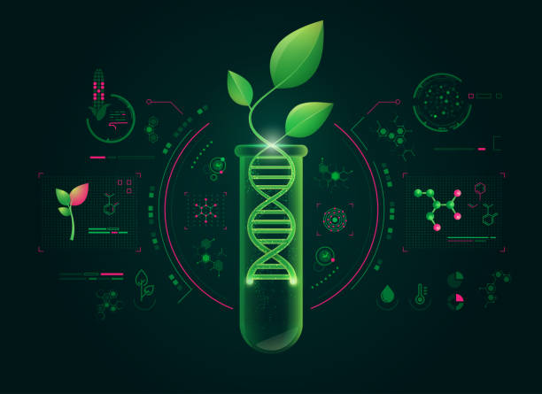 greenbiotech - molecular structure molecule dna atom stock illustrations