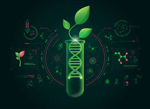 concept of green biotechnology or synthetic biology, graphic of plant combined with DNA shape