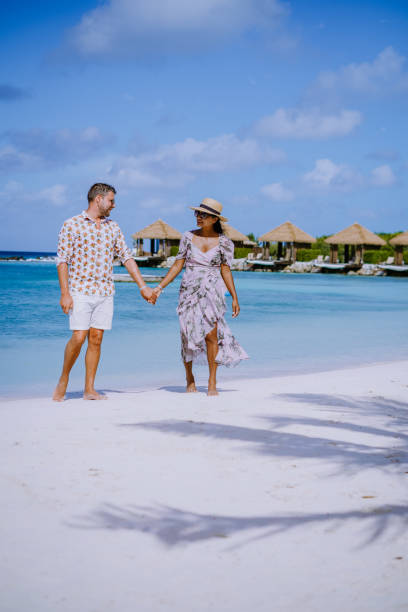 plaża aruba z różowymi flamingami na plaży, flamingi na plaży na aruba island caribbean - aruba honeymoon tourist resort vacations zdjęcia i obrazy z banku zdjęć