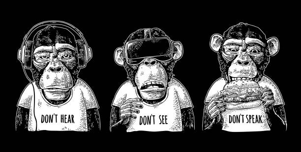 ilustrações, clipart, desenhos animados e ícones de três macacos sábios. não vejo, não ouve, não fala. gravura vintage - three objects audio