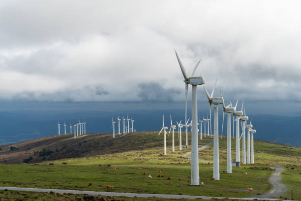 カペラダ山脈の風力発電所、カリニョ、ア・コルーニャ州、ガリシア、スペイン - cattle station ストックフォトと画像