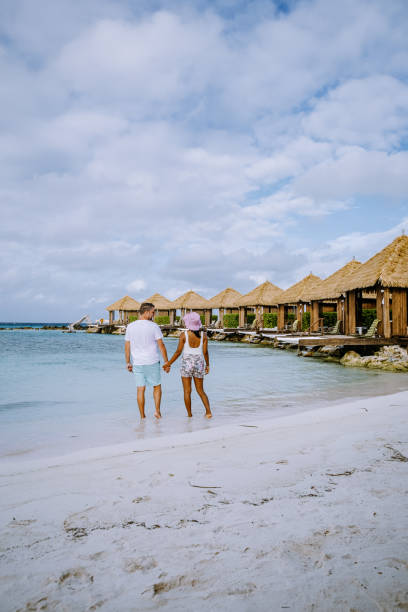 plaża aruba z różowymi flamingami na plaży, flamingi na plaży na aruba island caribbean - aruba honeymoon tourist resort vacations zdjęcia i obrazy z banku zdjęć