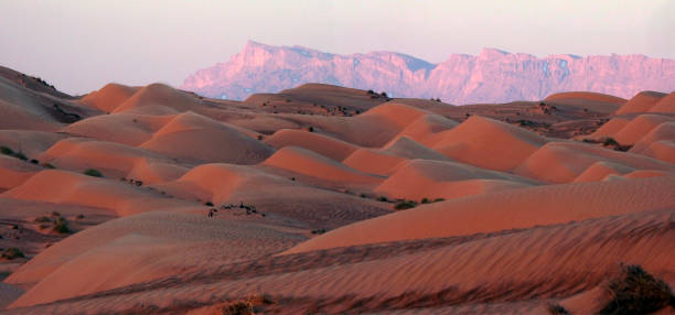 Deserts - Wahiba Dunes in the Oman Desert stock photo