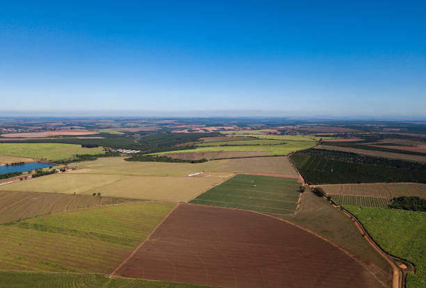 istock Aerial view of plantations 1313867829