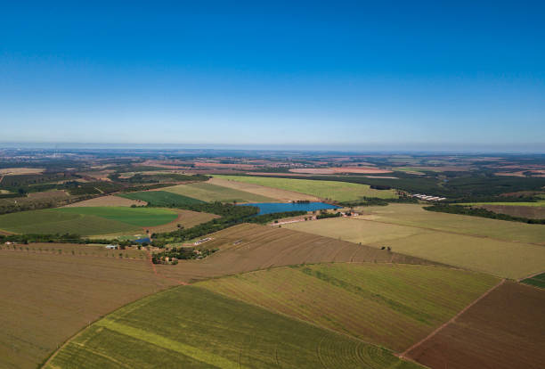 istock Aerial view of plantations 1313868032