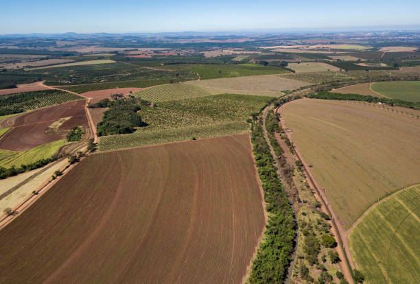 istock Aerial view of plantations 1313868301