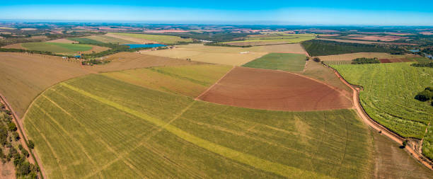 istock Aerial view of arada ground 1313868593