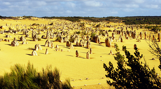 Pinnacles are fairly rough limestone rock formations that have their origins in accumulations of shells of marine mollusks from an earlier geological epoch. The shells fell apart and fell into the limestone-rich sands, which ended up inland forming large mobile dunes.