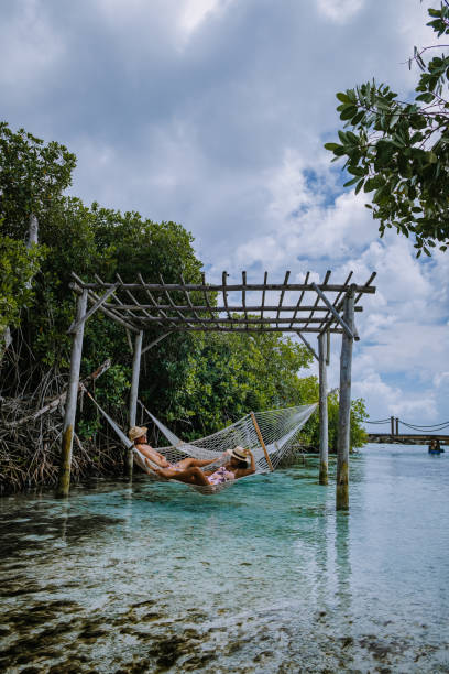 plaża aruba z różowymi flamingami na plaży, flamingi na plaży na aruba island caribbean - aruba honeymoon tourist resort vacations zdjęcia i obrazy z banku zdjęć