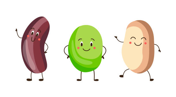 Set Of Pea And Kidney Beans Cartoon Characters Vector Illustration Isolated  Stock Illustration - Download Image Now - iStock
