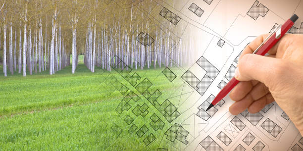 istock Imaginary topographic cadastral map and land parcels of territory with trees on background and buildable vacant land for sale - concept image 1313880151