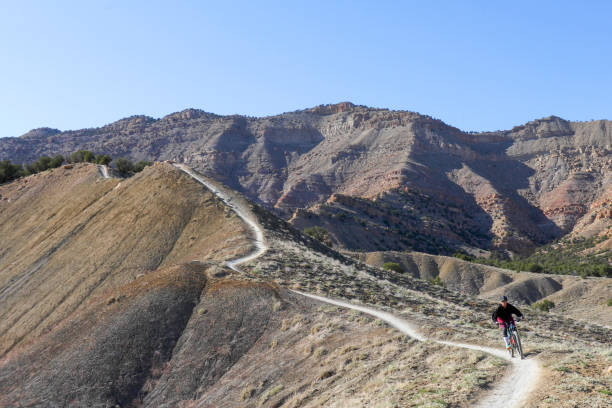 istock Female mountain biker descends mountain ridge 1313882535