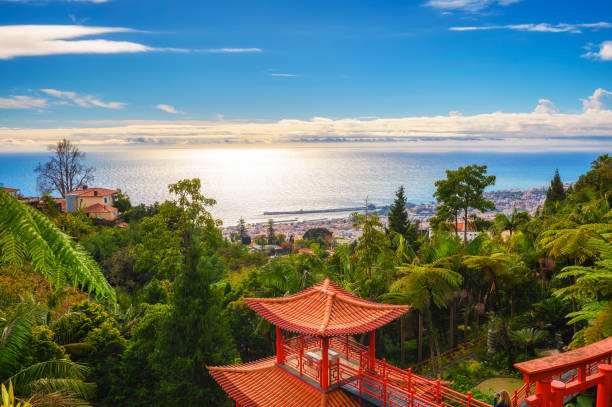 View over the city of Funchal from Monte Palace Gardens in Madeira, Portugal stock photo