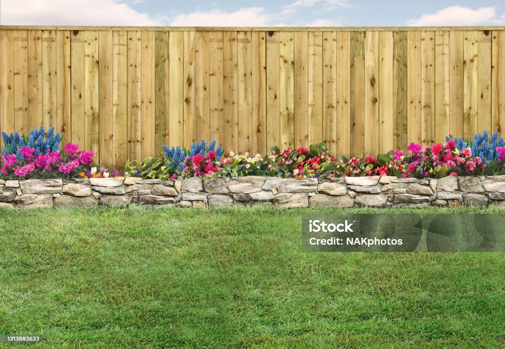 Empty backyard with green grass, wood fence and flowerbed Back Yard Stock Photo
