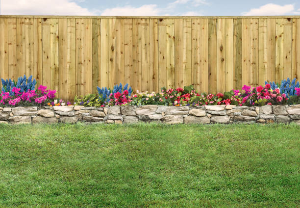 Empty backyard with green grass, wood fence and flowerbed Empty backyard with green grass, wood fence and flowerbed back yard stock pictures, royalty-free photos & images