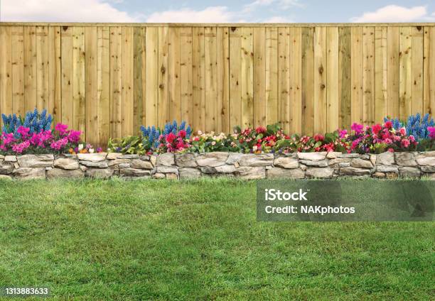 Empty Backyard With Green Grass Wood Fence And Flowerbed Stock Photo - Download Image Now