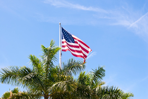 Flag of the USA waving between palm trees in bright sunlight in southern Florida.