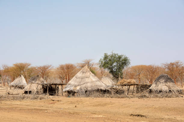istock Typical village in Guera province, Central Chad 1313886803