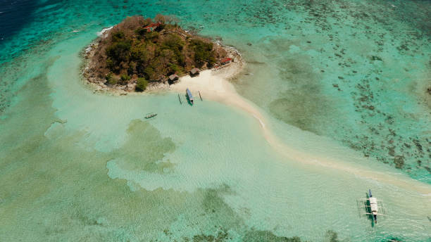 istock Small torpic island with a white sandy beach, top view 1313888058