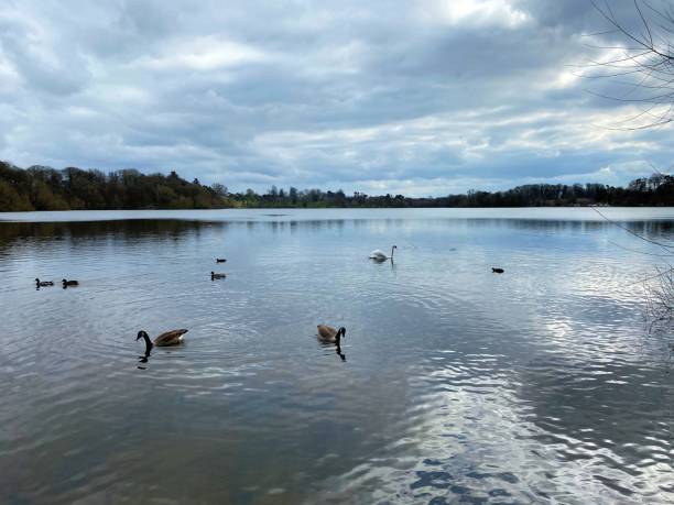 istock A view of Ellesmere Lake 1313889734