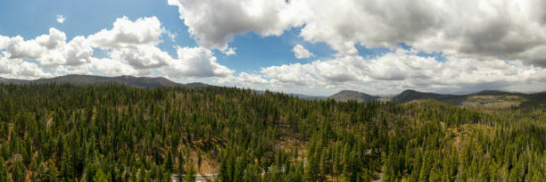 カリフォルニア州のシエラスの航空写真 - stanislaus national forest ストックフォトと画像