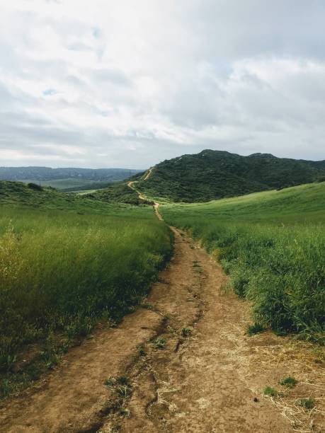 istock California Landscape 1313890943