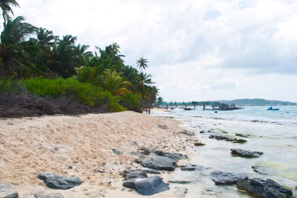 istock Shore in rocky cay beach and blue sky. 1313891895