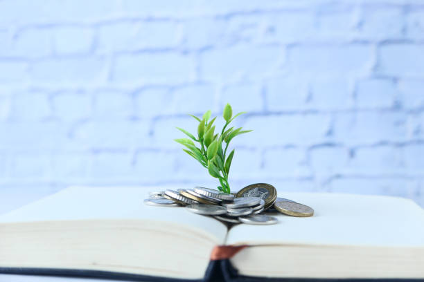 istock Close up of young plan growing through coins. 1313893440