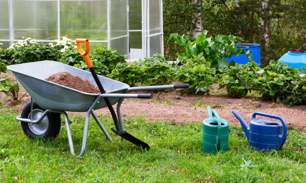 istock Gardening landscape. 1313893856