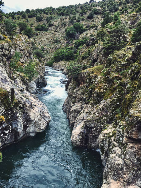 istock Wild river in Corsica 1313894728