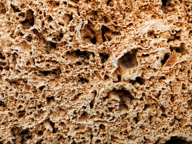 istock Bright brown stone with poros texture 1313894986