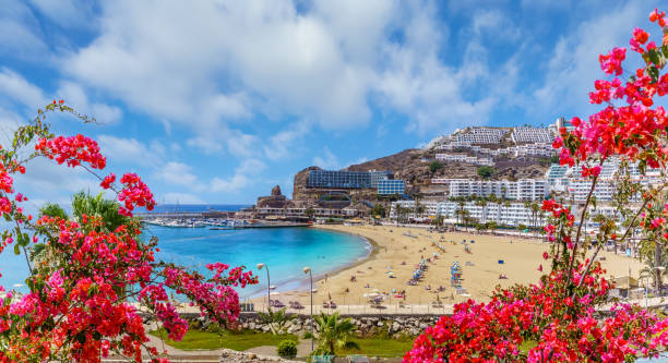 Landscape with  Puerto Rico village and beach Landscape with  Puerto Rico village and beach on Gran Canaria, Spain grand canary stock pictures, royalty-free photos & images