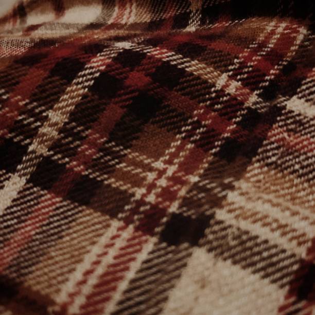 istock Flannel shirt fabric closeup 1313901503