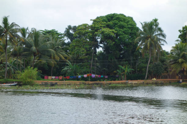 istock Backwaters network of brackish lagoons in Kerala 1313901630