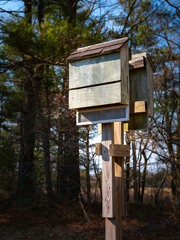 Homemade two wooden bat houses on the poles in the pine forest