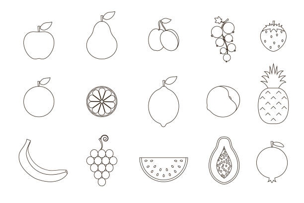 ilustraciones, imágenes clip art, dibujos animados e iconos de stock de frutas, colección de iconos lineales. ilustración vectorial. - plum grape fruit clip art