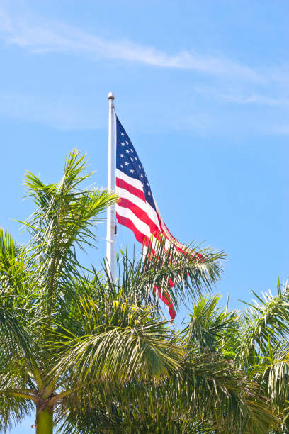 istock USA flag behind beautiful palm trees in bright sunlight 1313903526