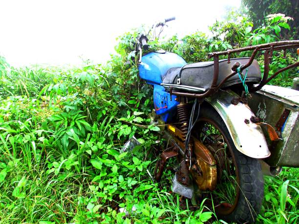 istock An old, abandoned, blue motorcycle covered by undergrowth. 1313906981