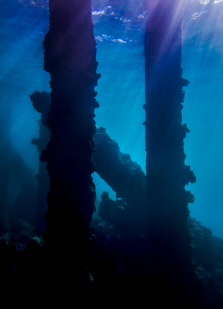 istock Rays of Sunlight Shine on Collapsed Reef Underwater 1313907067