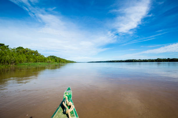 istock Image in Peruvian jungle of a boat in a river in Amazon forest. Traditional way of transportation in tropical rivers in Peru. 1313908935