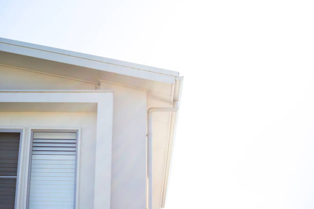 istock Closeup new, modern house, top part, background with copy space 1313912835