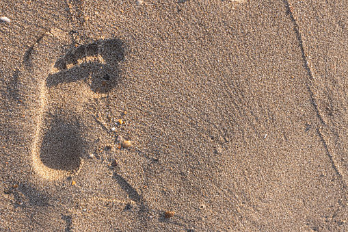 Black ink foot prints on white