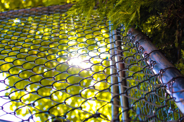 nahaufnahme des metallrabitzgitters. horizontale rabitz netz hintergrund. - green fence chainlink fence wall stock-fotos und bilder