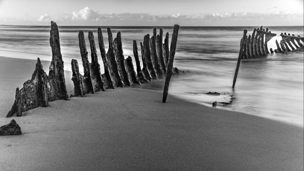 istock Wreck of the SS Dicky 1313916135