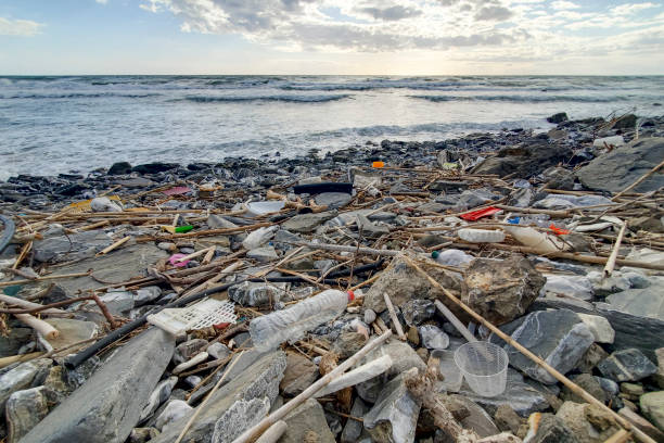 istock Dump of plastic garbage pollution on contaminated sea coast ecosystem,environmental waste 1313918553