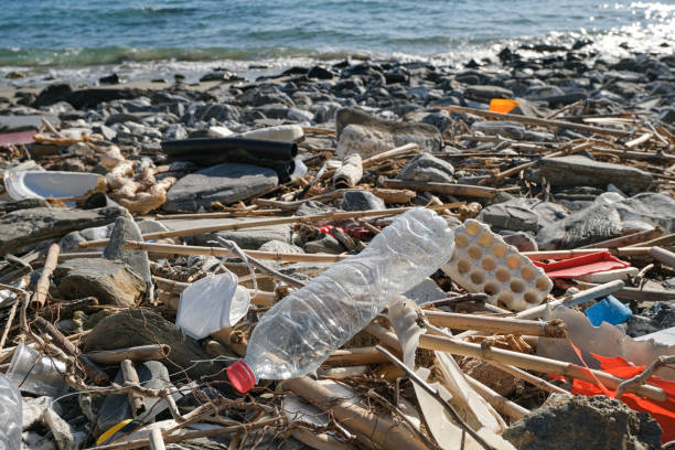 istock Dump of plastic garbage pollution on contaminated sea coast ecosystem,environmental waste 1313918576
