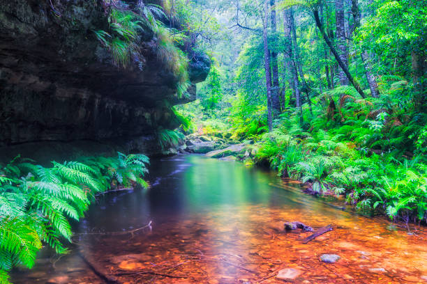 Image of great nature taken in Japan