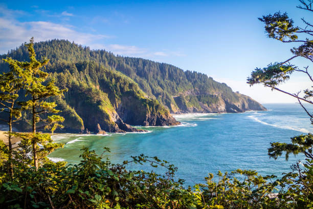 heceta head lighthouse state park scenic viewpoint, à florence - oregon beach photos et images de collection