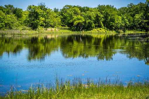 A beautiful lake park in Hagerman Wildlife Refuge, Texas in Sherman, TX, United States